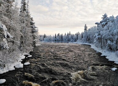 Rovaniemi: เส้นทางเดินป่า Vaattunki Arctic Circle