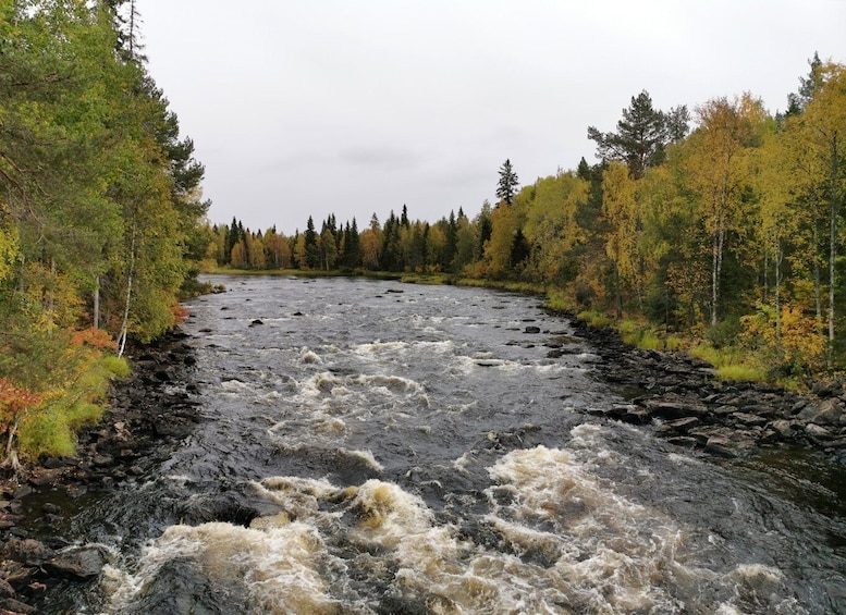 Picture 12 for Activity Rovaniemi: Vaattunki Hiking Arctic Circle Trail