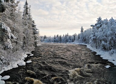 Rovaniemi: Vaattunki vandrer på Arctic Circle Trail