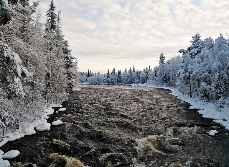 Rovaniemi: Vaattunki Hiking Arctic Circle Trail