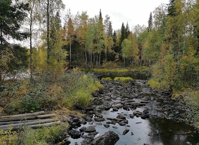 Picture 18 for Activity Rovaniemi: Vaattunki Hiking Arctic Circle Trail