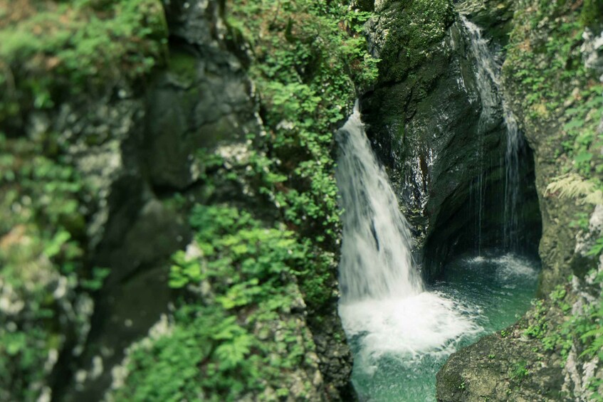 Picture 5 for Activity Bled: Triglav National Park Canyoning Adventure with Photos