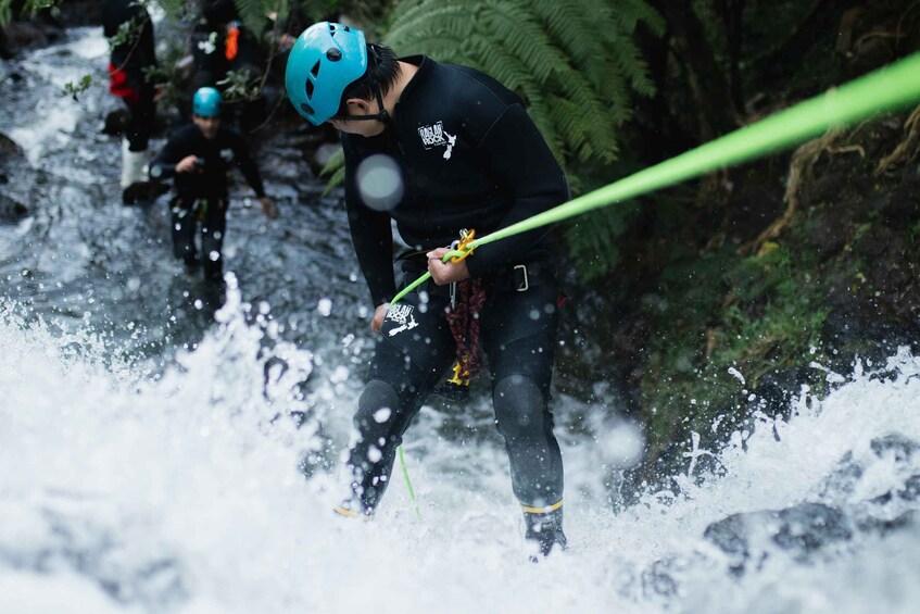 Picture 3 for Activity Raglan: Sunset Canyoning Tour and Glowworm Experience