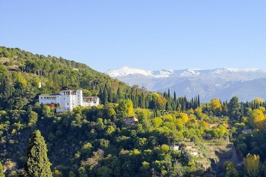 Complete Guided tour of the Alhambra and Generalife in a Premium Group