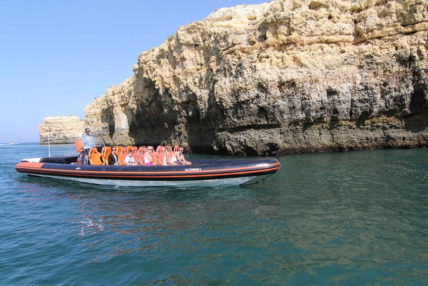 Picture 2 for Activity Dolphin Safari and Cave Tour in Vilamoura