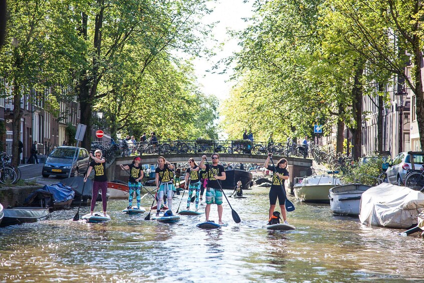 Picture 6 for Activity Amsterdam: 2-Hour Stand Up Paddle Board Tour