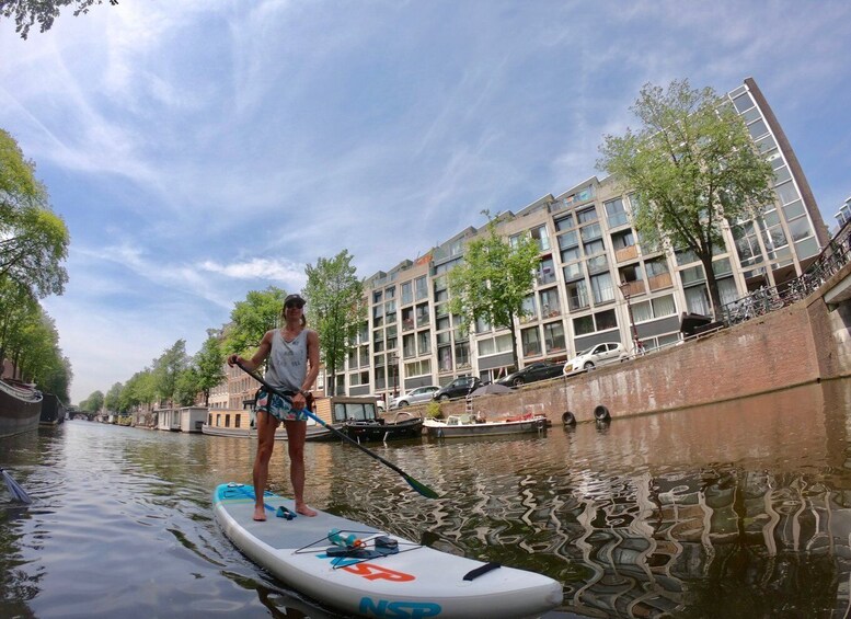 Amsterdam 2Hour Stand Up Paddle Board Tour
