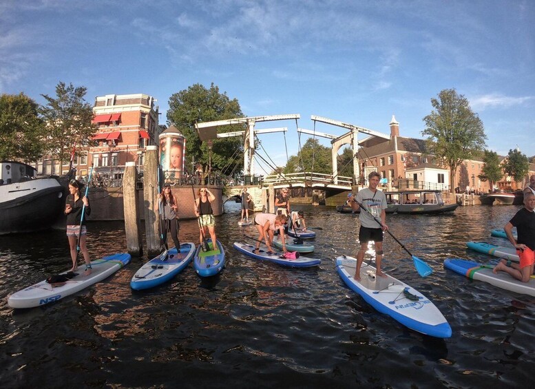 Amsterdam: 2-Hour Stand Up Paddle Board Tour