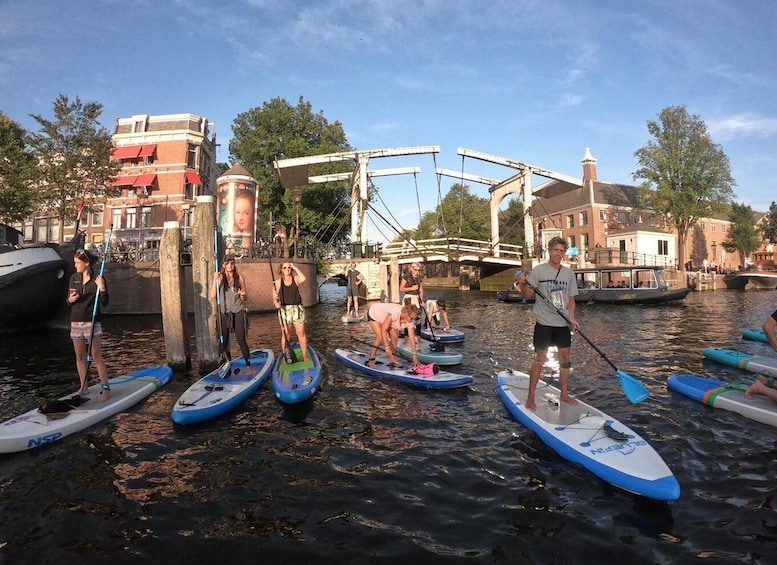 Amsterdam: 2-Hour Stand Up Paddle Board Tour