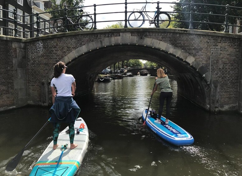 Picture 10 for Activity Amsterdam: 2-Hour Stand Up Paddle Board Tour