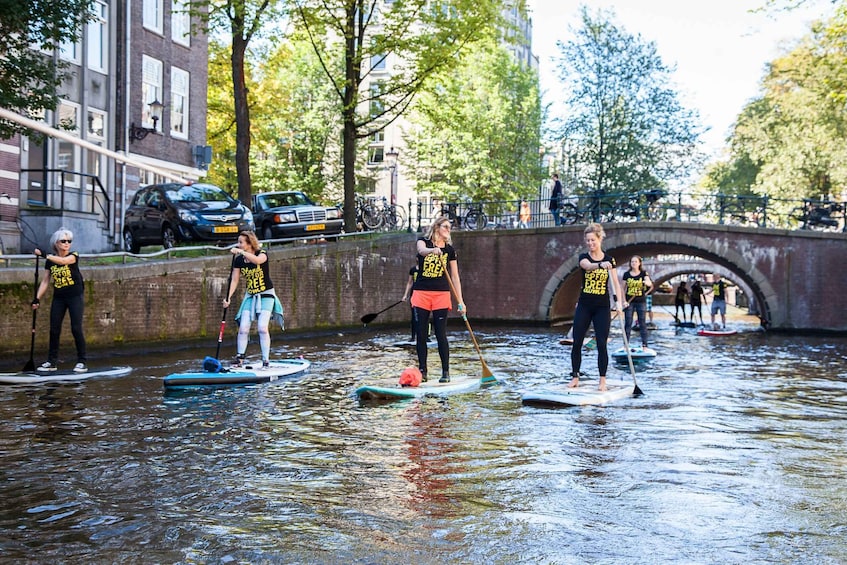 Picture 5 for Activity Amsterdam: 2-Hour Stand Up Paddle Board Tour
