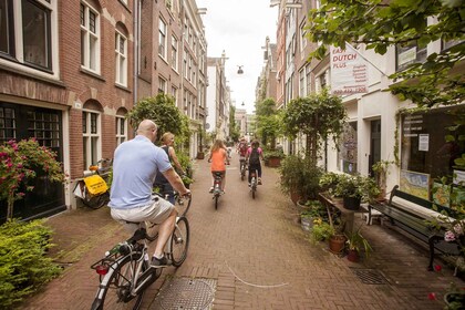 Ámsterdam: tour guiado en bicicleta por las joyas ocultas y lo más destacad...