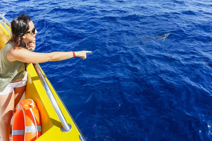 Picture 4 for Activity Puerto del Carmen: Dolphin-Watching Speedboat Tour with Swim