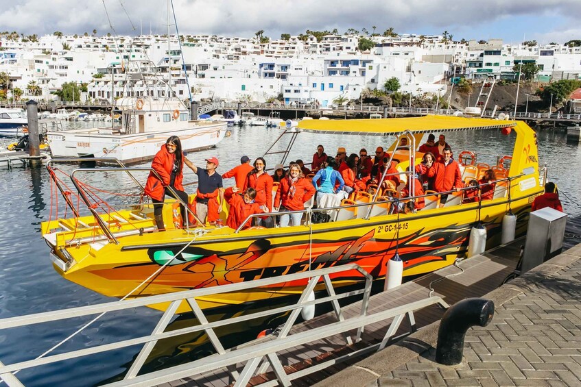 Picture 1 for Activity Puerto del Carmen: Dolphin-Watching Speedboat Tour with Swim