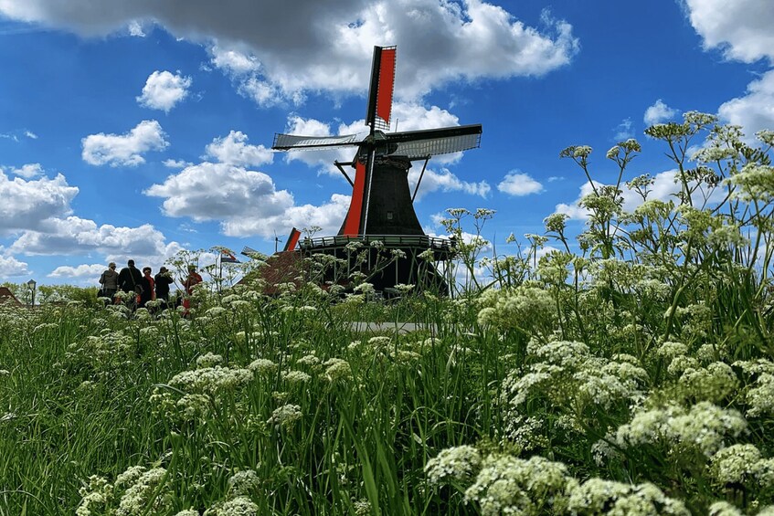 Picture 18 for Activity Amsterdam: Windmill, Cheese, and Countryside E-Bike Tour