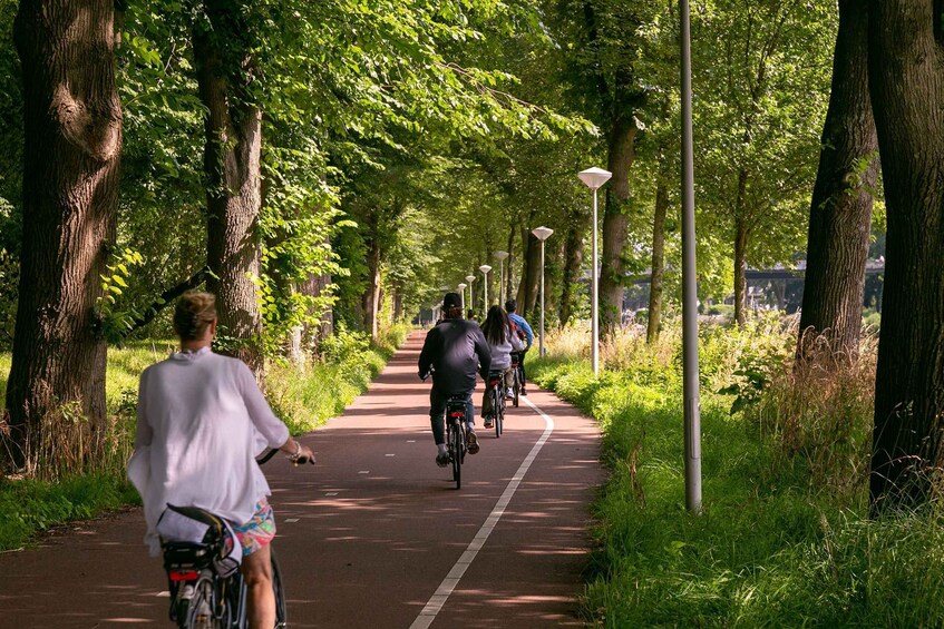 Picture 2 for Activity Amsterdam: Windmill, Cheese, and Countryside E-Bike Tour