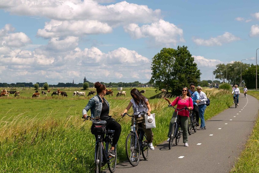 Picture 3 for Activity Amsterdam: Windmill, Cheese, and Countryside E-Bike Tour