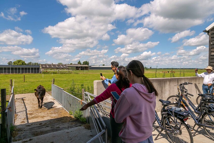 Picture 15 for Activity Amsterdam: Windmills, Cheese & Clogs Countryside E-Bike Tour