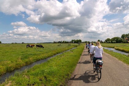 Amsterdam - en cykeltur Väderkvarn, ost och landsbygd E-Bike Tour