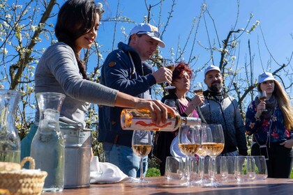 Mallorca: tour de día completo a la bodega para grupos pequeños