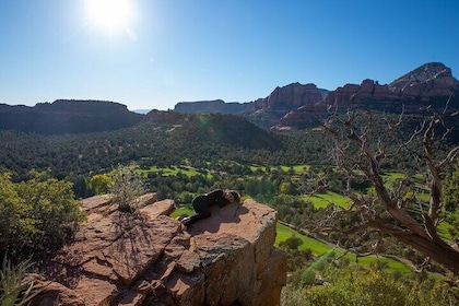 Mystic Earth: 2 Hour Jeep Ride with Hike through Sedona's Enchanted Forests