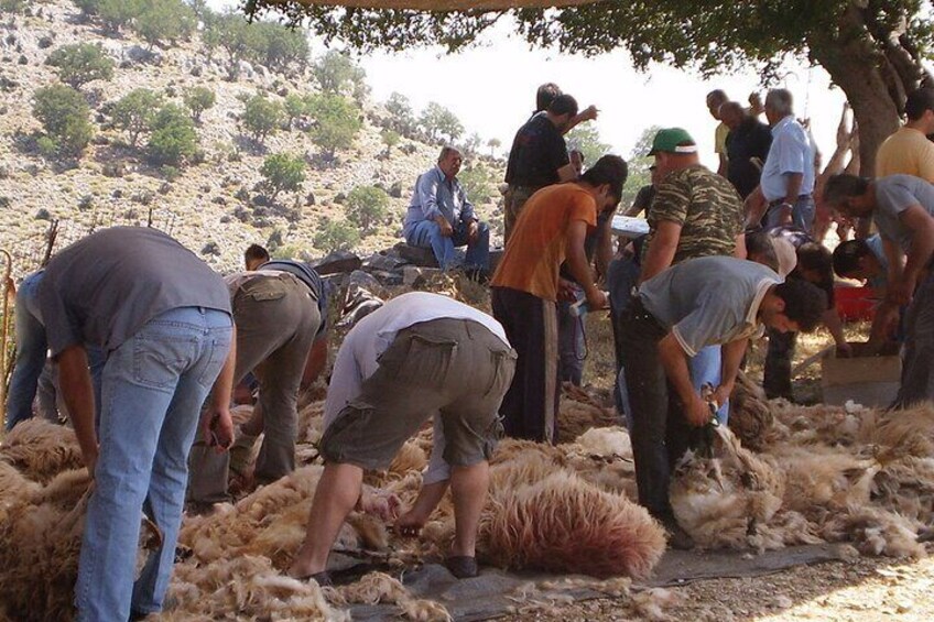 Full-Day Tour in Psiloritis with the Local Shepherds