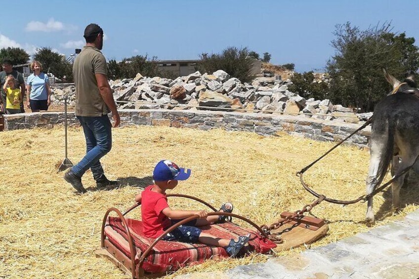 Full-Day Tour in Psiloritis with the Local Shepherds