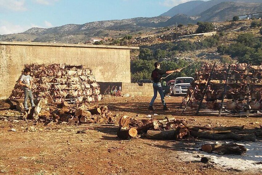 Full-Day Tour in Psiloritis with the Local Shepherds