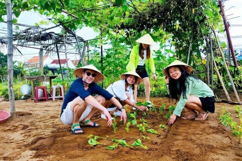 Hoi An countryside cycling tour