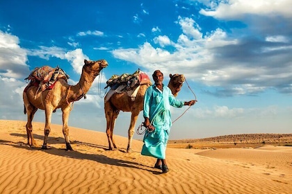 Camel Ride, Bedouin Dinner and Star Gazing in Marsa Alam