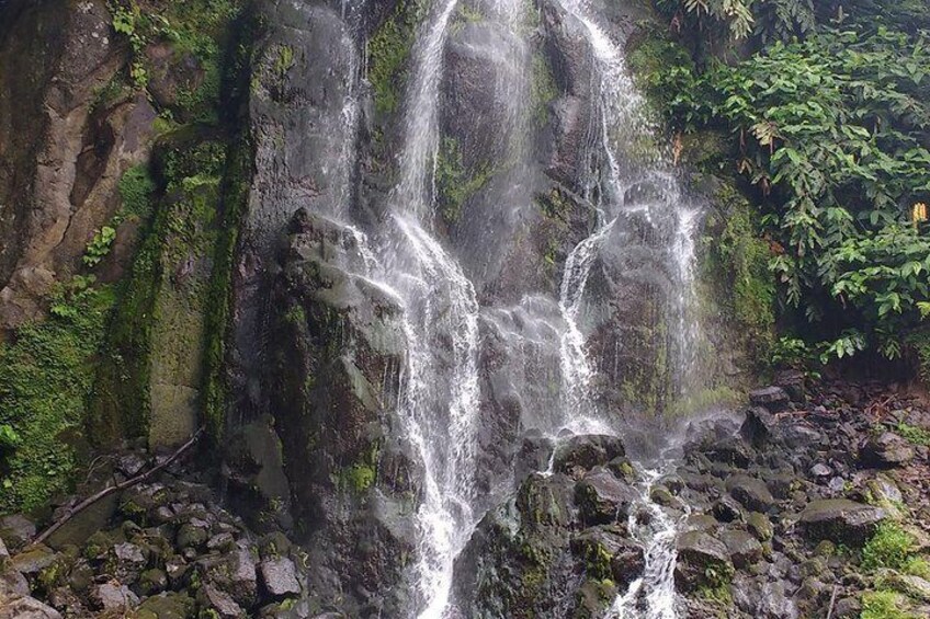 Van – Scenictour – Nordeste / Povoação – Full Day/ with lunch (Shared)