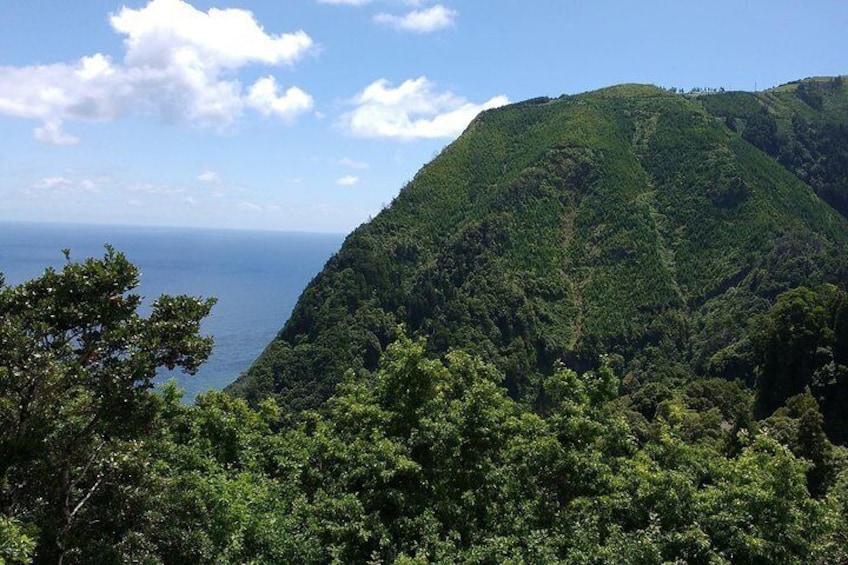 Van – Scenictour – Nordeste / Povoação – Full Day/ with lunch (Shared)