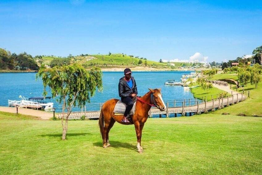 4-Hour Horse Riding in Nuwara Eliya