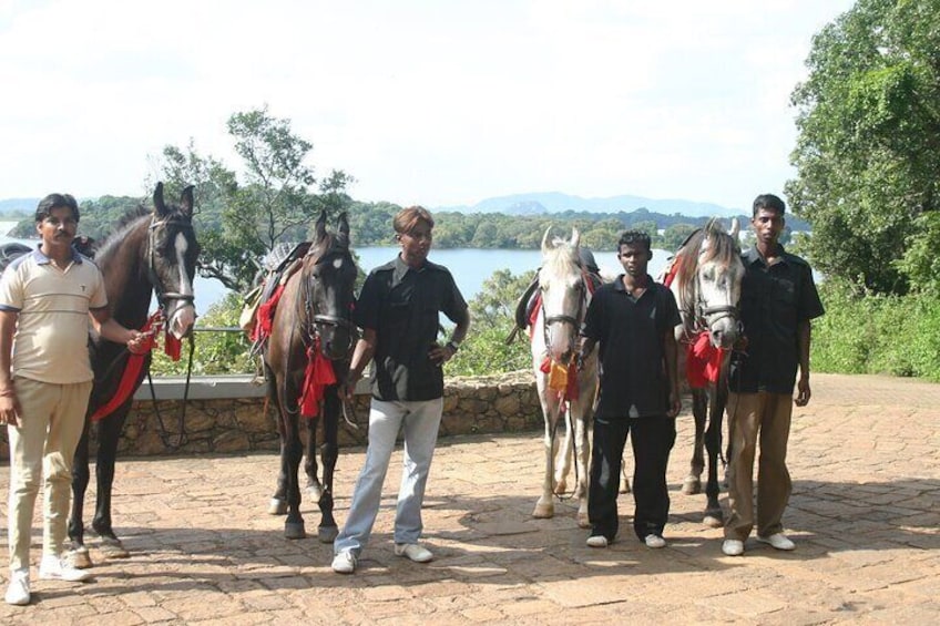 4-Hour Horse Riding in Nuwara Eliya