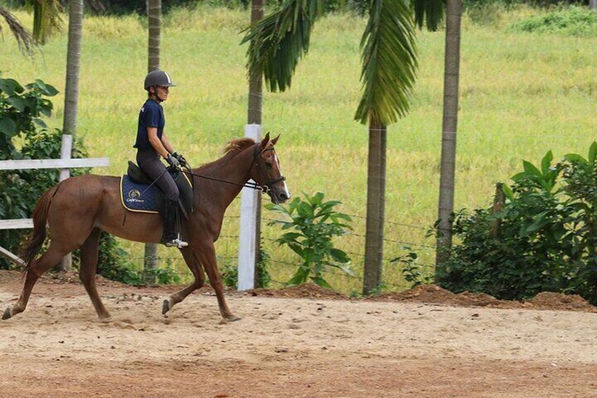 4-Hour Horse Riding in Nuwara Eliya