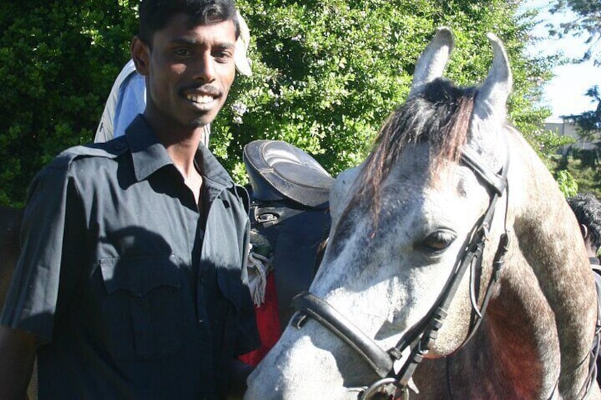 4-Hour Horse Riding in Nuwara Eliya