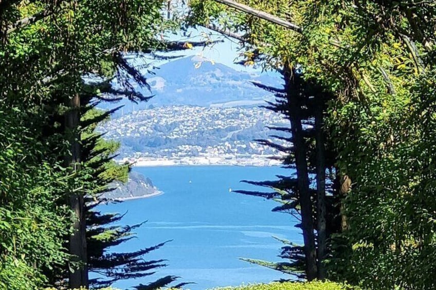 Otago Harbour