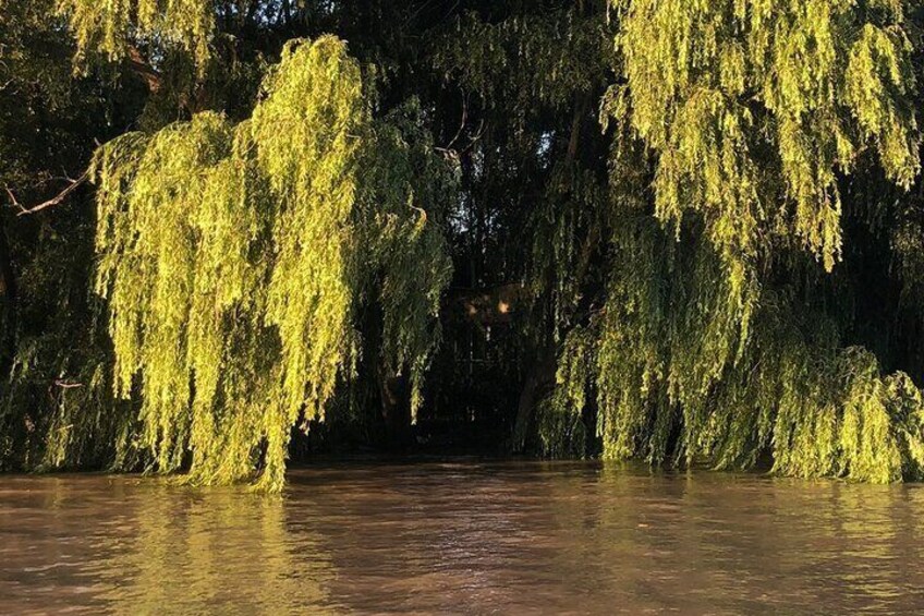 Private Boat Tour to Rio de la Plata and Delta El Tigre with Wine on Board