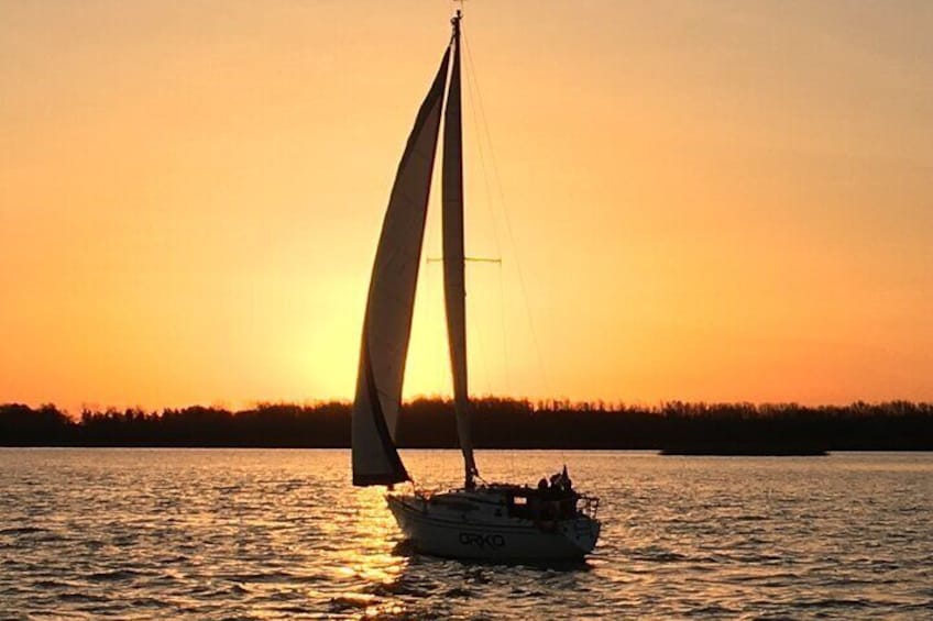 Private Boat Tour to Rio de la Plata and Delta El Tigre with Wine on Board