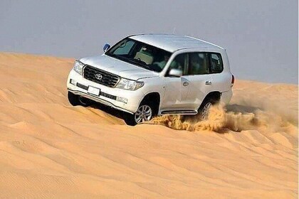 Sunset Evening Safari, Camel ride, live shows and BBQ Dinner in Dubai