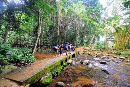 7-Days Trekking in Ilha Grande: The Jungle Edition