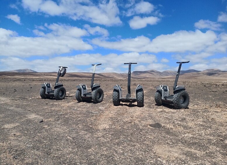 Picture 3 for Activity Tiscamanita: Segway Tour, Aloe Vera Farm & Mills Museum