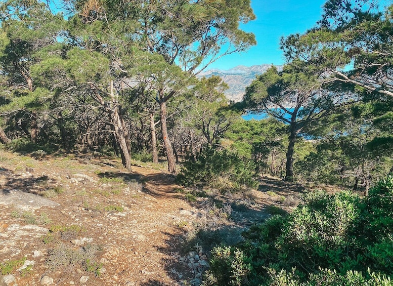 Picture 4 for Activity Pigadia: Agia Kyriaki Guided Hike with Coffee/Tea and Raki