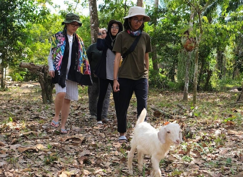 Picture 16 for Activity Krabi: Sea Cave Kayaking Tour with Nai Nang Village & Lunch