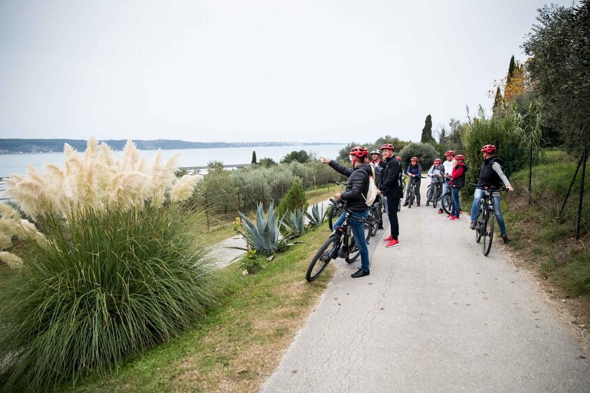 Picture 6 for Activity Panoramic Piran and Salt Pans: E-Bike Boutique Tour