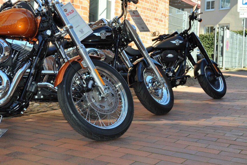 Picture 1 for Activity Rostock: Harley-Davidson Sportster XL1200CB Rental