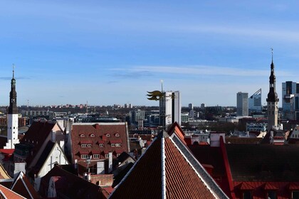 Tallinn: Panoramatour mit Privatfahrzeug