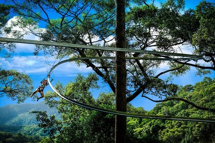 Chiang Mai: Montaña rusa Jungle Flight Zip Line