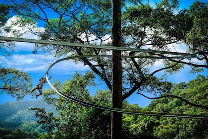 Chiang mai : Jungle Flight Zip Line Roller Coaster