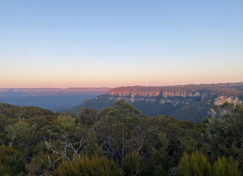 Picture 6 for Activity Blue Mountains: Scenic World, Waterfalls, and Wildlife Park